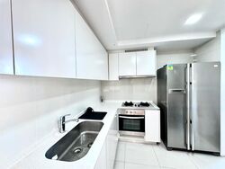 The Lakefront Residences (D22), Condominium #452327891